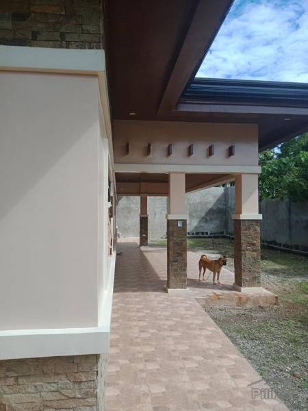 House and Lot for sale in Baclayon - image 19