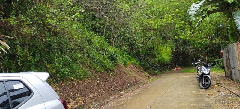 Agricultural Lot for sale in Cebu City - image 13