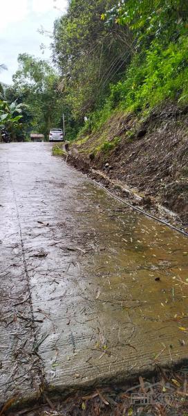 Agricultural Lot for sale in Cebu City