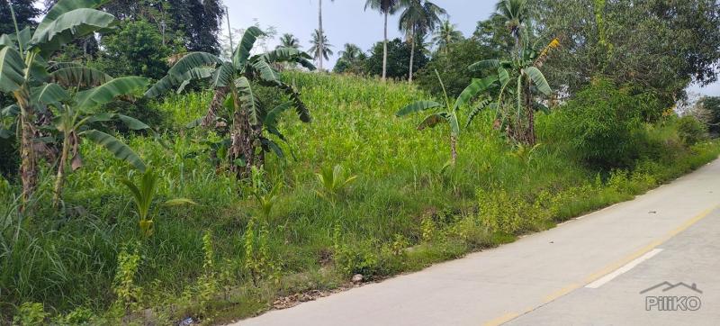 Agricultural Lot for sale in Aloguinsan