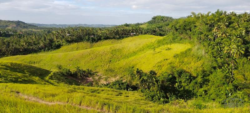 Picture of Agricultural Lot for sale in Tabogon in Philippines