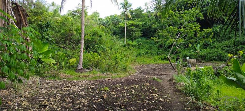 Agricultural Lot for sale in Tabogon in Cebu