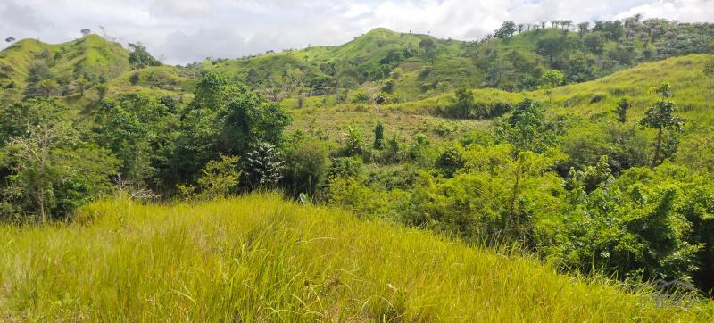 Picture of Agricultural Lot for sale in Buenavista
