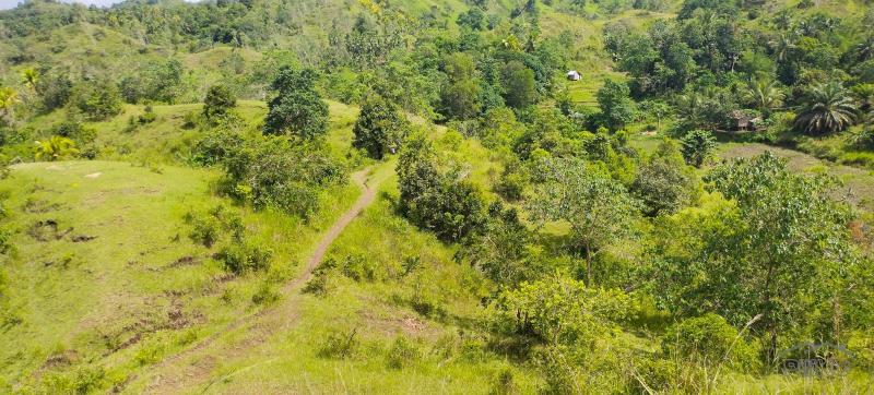 Agricultural Lot for sale in Buenavista in Philippines - image