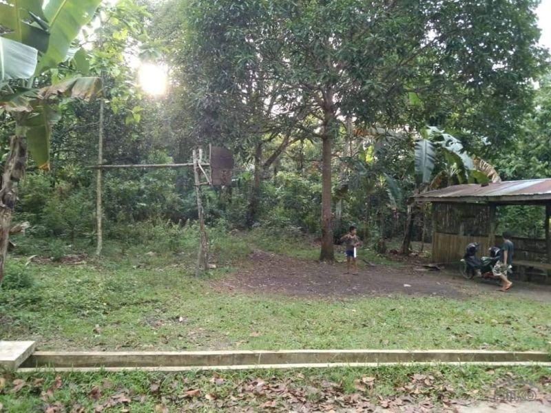 Agricultural Lot for sale in Clarin