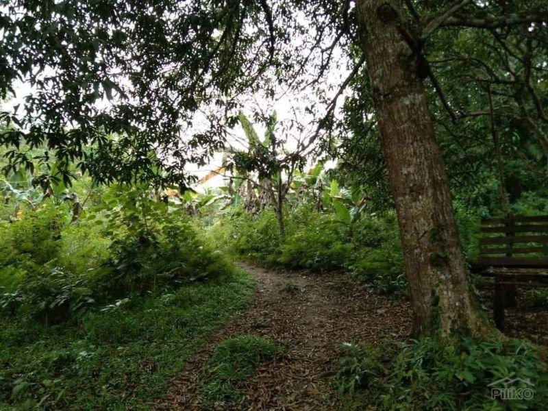 Agricultural Lot for sale in Clarin in Bohol