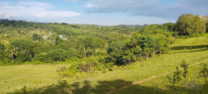 Picture of Agricultural Lot for sale in Aloguinsan