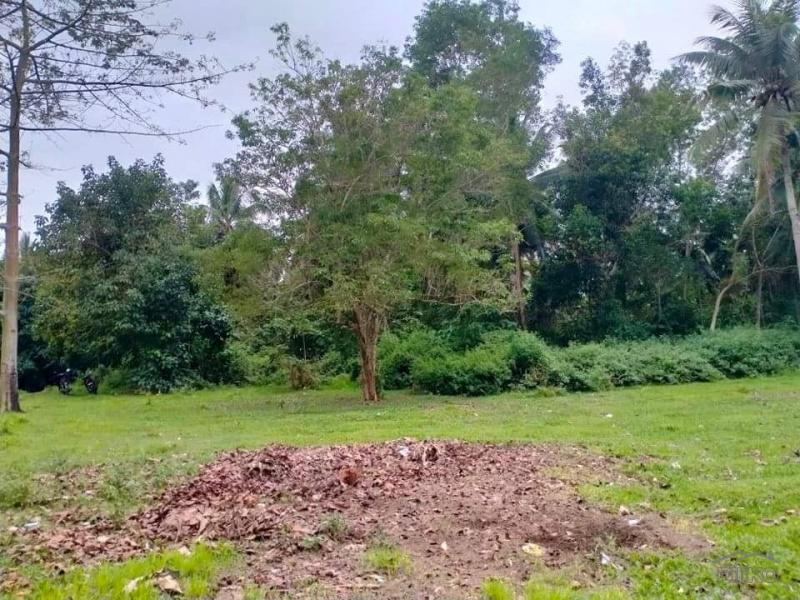 Picture of Agricultural Lot for sale in Trinidad