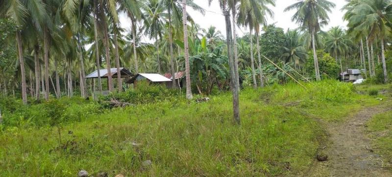 Agricultural Lot for sale in Clarin - image 3