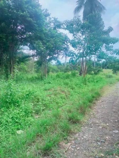 Picture of Agricultural Lot for sale in Trinidad