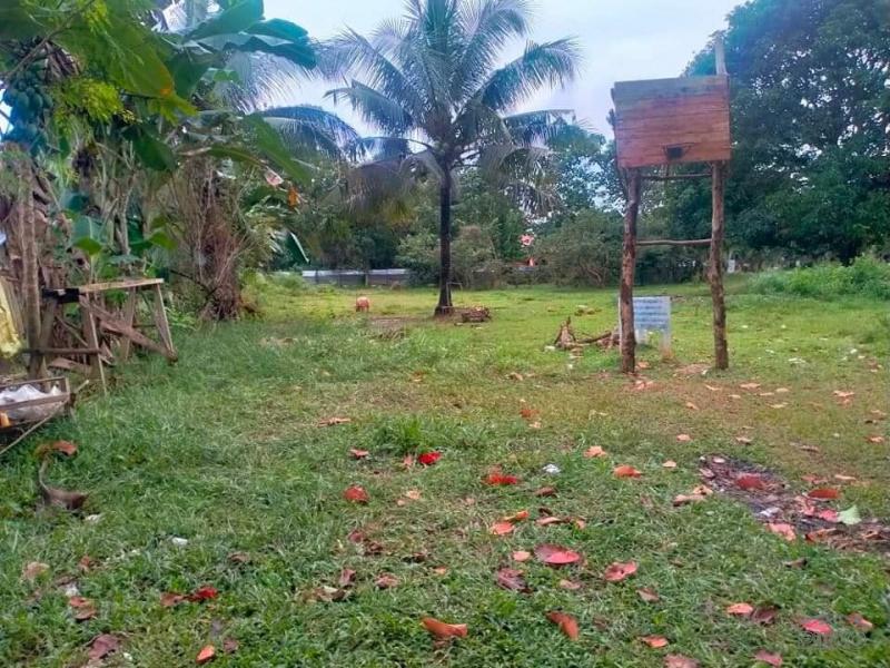 Picture of Agricultural Lot for sale in Talibon