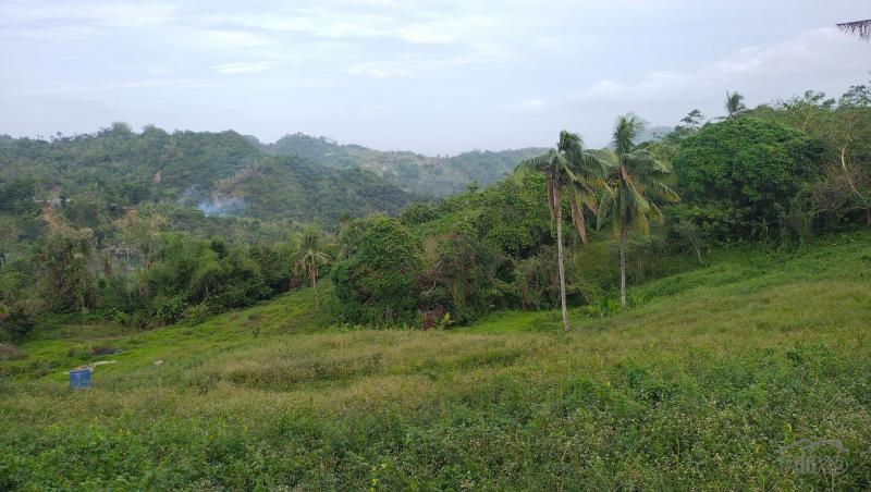 Agricultural Lot for sale in Cebu City