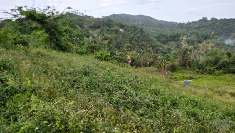 Agricultural Lot for sale in Cebu City - image 4