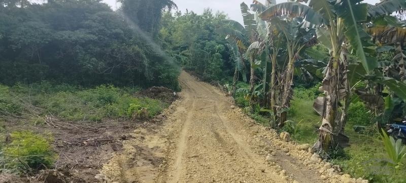 Agricultural Lot for sale in Bogo - image 2