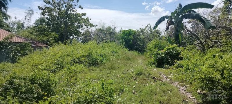 Residential Lot for sale in Liloan in Philippines
