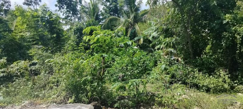 Picture of Residential Lot for sale in Liloan in Cebu