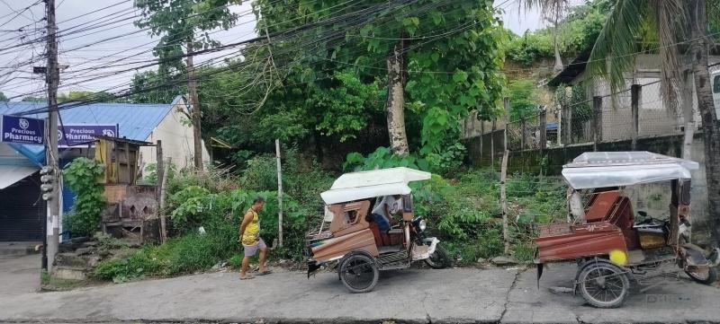 Commercial Lot for sale in Liloan - image 3