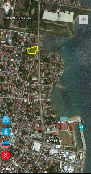 Commercial Lot for sale in Naga - image 4