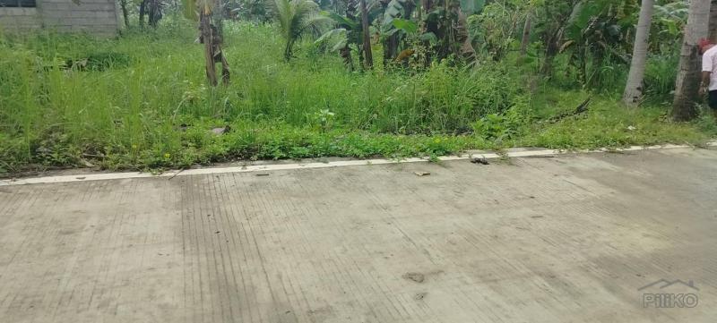 Picture of Agricultural Lot for sale in Barili
