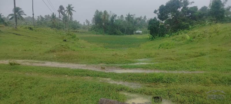 Agricultural Lot for sale in Barili in Philippines