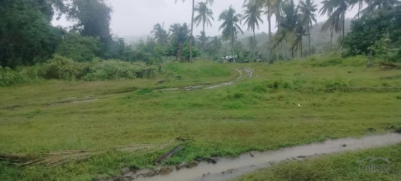 Picture of Agricultural Lot for sale in Barili in Philippines