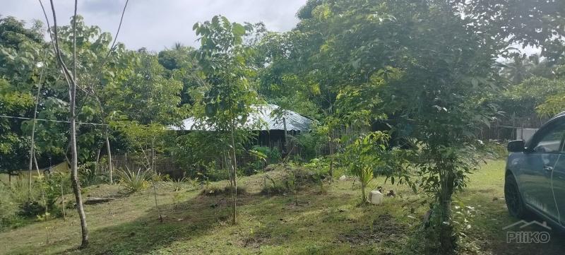 Agricultural Lot for sale in Sogod in Philippines