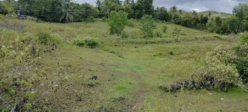 Agricultural Lot for sale in Sogod in Philippines