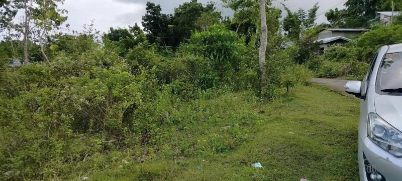 Picture of Agricultural Lot for sale in Sogod in Philippines