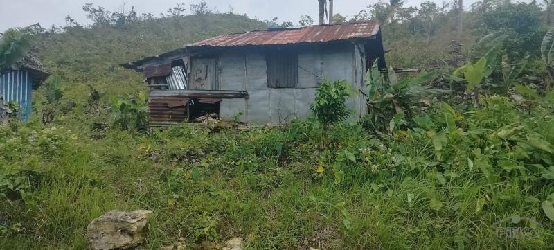 Agricultural Lot for sale in Sibonga - image 3