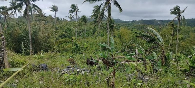 Agricultural Lot for sale in Sibonga in Philippines