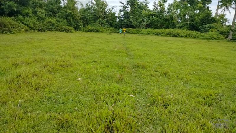 Agricultural Lot for sale in Sagbayan - image 2