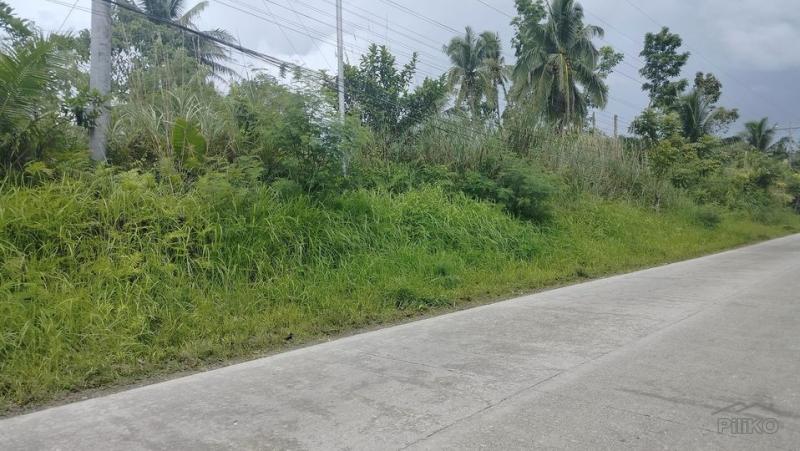 Picture of Commercial Lot for sale in Sagbayan