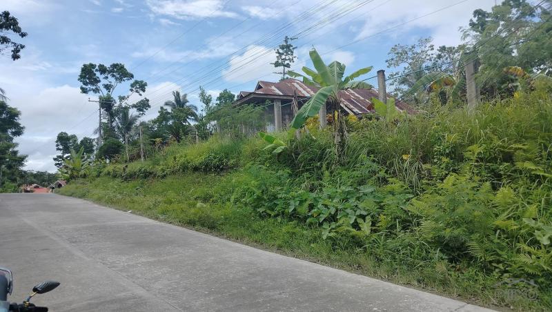 Commercial Lot for sale in Sagbayan