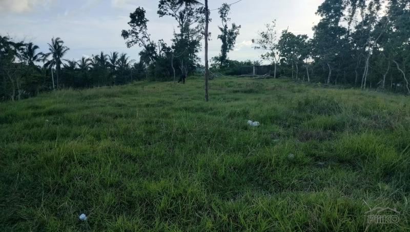 Picture of Agricultural Lot for sale in Sagbayan