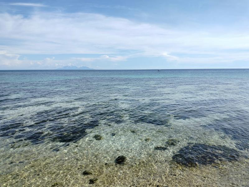 Agricultural Lot for sale in Anda - image 3