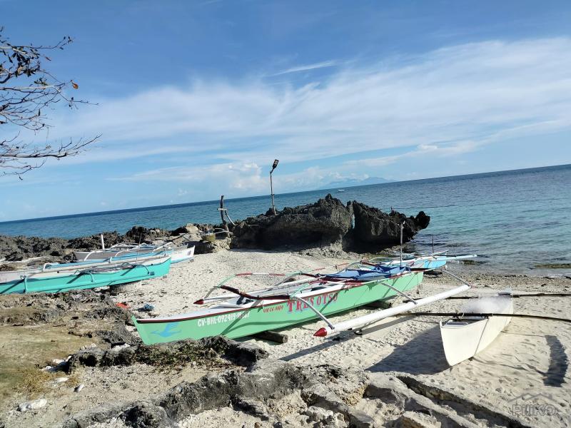 Agricultural Lot for sale in Anda - image 4