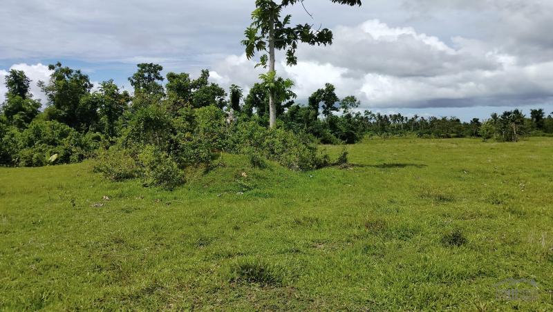 Agricultural Lot for sale in Sagbayan
