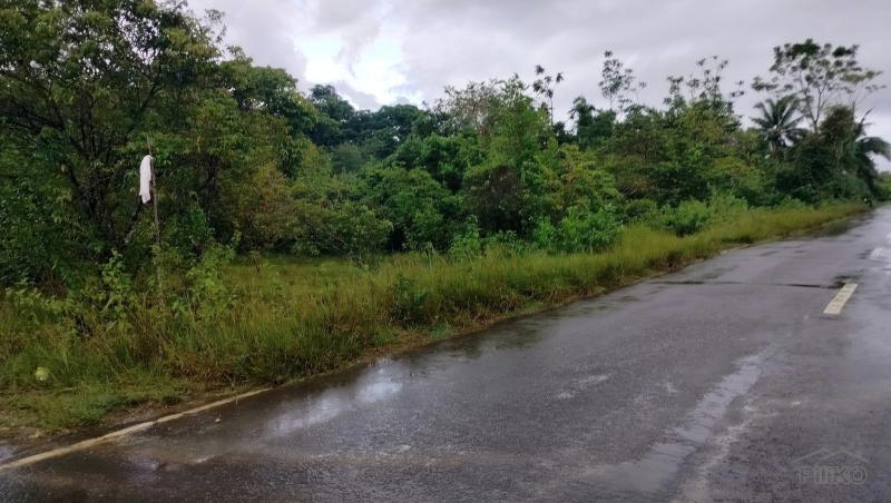 Picture of Residential Lot for sale in Panglao