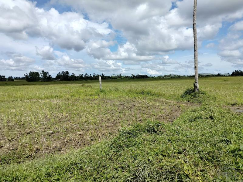Agricultural Lot for sale in Pilar in Philippines