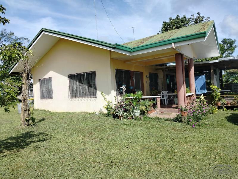 Agricultural Lot for sale in Ubay in Bohol
