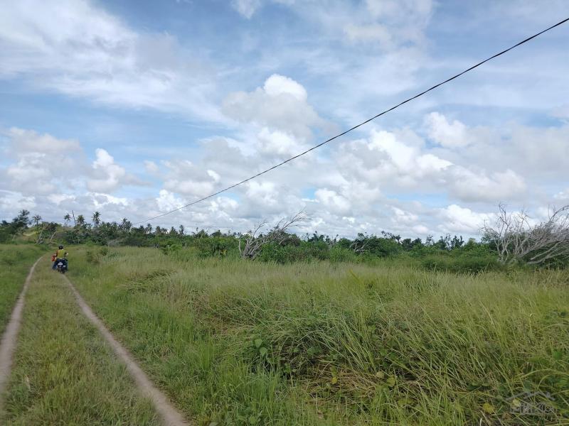 Picture of Agricultural Lot for sale in Ubay in Bohol