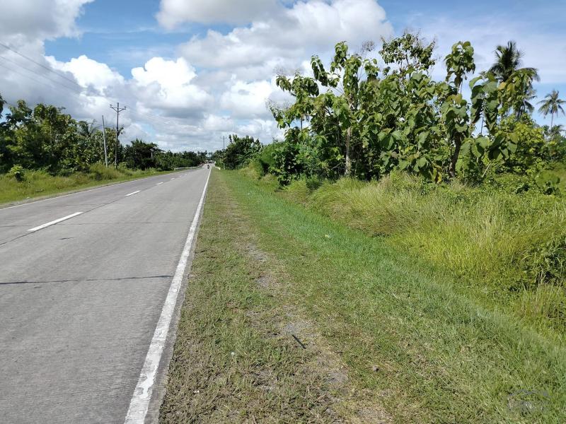 Agricultural Lot for sale in Ubay - image 2