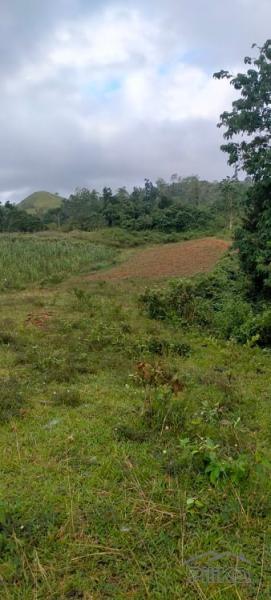Agricultural Lot for sale in Dagohoy