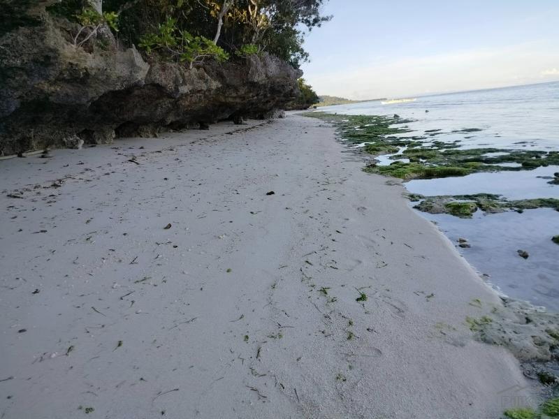 Other lots for sale in Anda - image 2