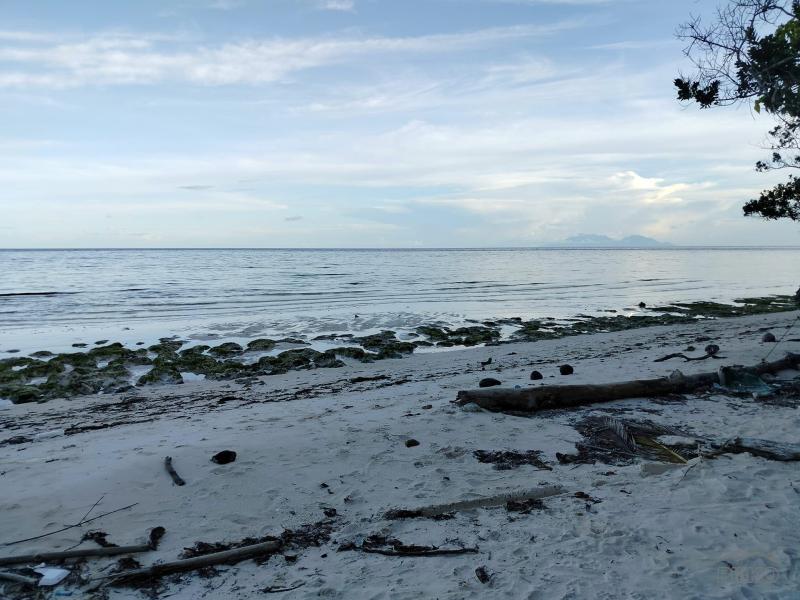 Other lots for sale in Anda in Bohol