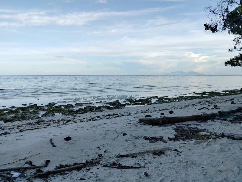 Other lots for sale in Anda - image 3