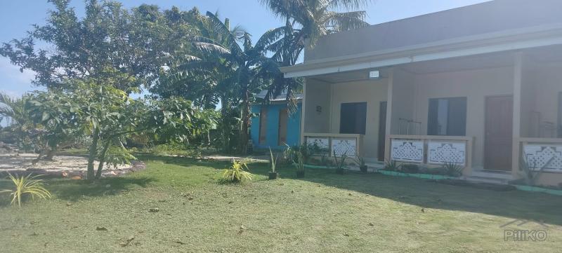 Picture of 4 bedroom Other houses for sale in Anda in Philippines