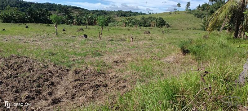 Picture of Agricultural Lot for sale in Tabogon