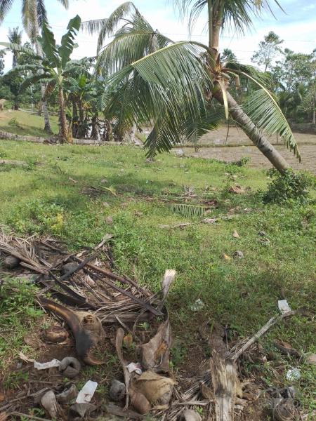 Agricultural Lot for sale in Trinidad - image 8