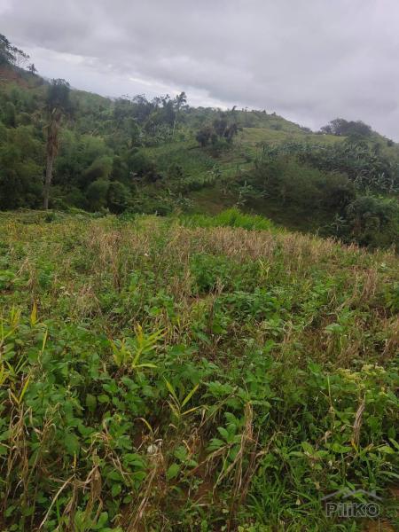 Agricultural Lot for sale in Cebu City - image 3